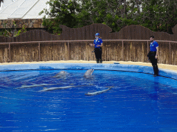 Zookeepers and Dolphins at the Dolphinarium at the Palmitos Park, just before the Dolphin Show