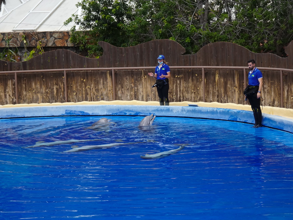 Zookeepers and Dolphins at the Dolphinarium at the Palmitos Park, just before the Dolphin Show