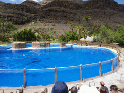 Zookeepers and Dolphins at the Dolphinarium at the Palmitos Park, during the Dolphin Show