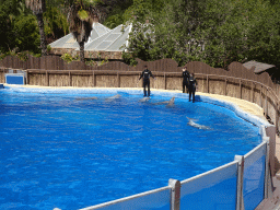 Zookeepers and Dolphins at the Dolphinarium at the Palmitos Park, during the Dolphin Show