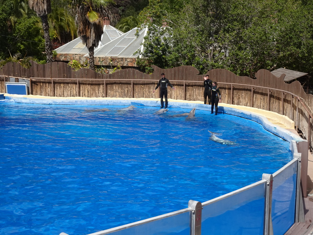 Zookeepers and Dolphins at the Dolphinarium at the Palmitos Park, during the Dolphin Show