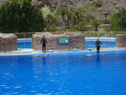 Zookeepers and Dolphins at the Dolphinarium at the Palmitos Park, during the Dolphin Show