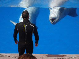 Zookeeper and Dolphins at the Dolphinarium at the Palmitos Park, during the Dolphin Show