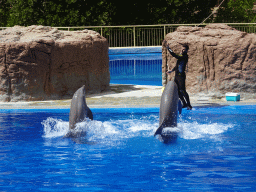 Zookeeper and standing Dolphins at the Dolphinarium at the Palmitos Park, during the Dolphin Show