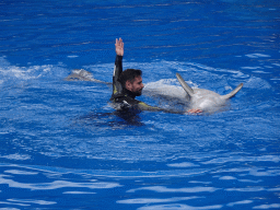 Zookeeper and Dolphin at the Dolphinarium at the Palmitos Park, during the Dolphin Show