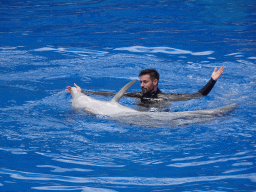 Zookeeper and Dolphin at the Dolphinarium at the Palmitos Park, during the Dolphin Show