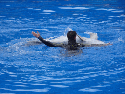 Zookeeper and Dolphin at the Dolphinarium at the Palmitos Park, during the Dolphin Show