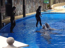 Zookeepers and Dolphins at the Dolphinarium at the Palmitos Park, during the Dolphin Show