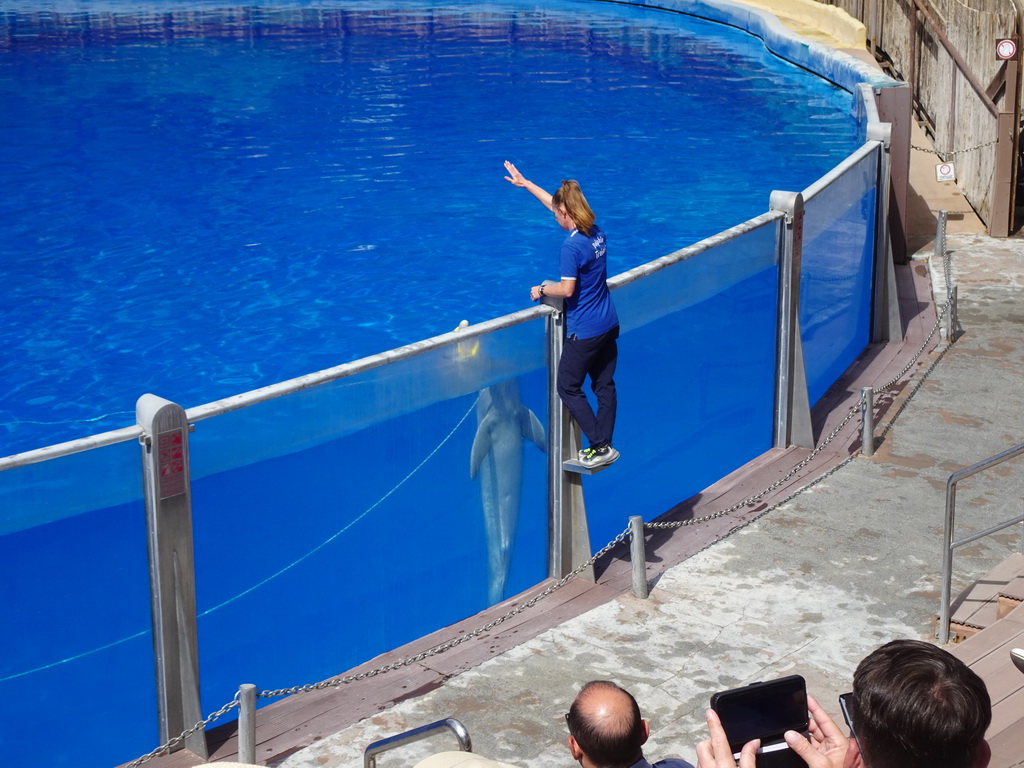 Zookeeper and Dolphin at the Dolphinarium at the Palmitos Park, during the Dolphin Show