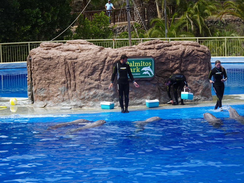 Zookeepers and Dolphins at the Dolphinarium at the Palmitos Park, during the Dolphin Show