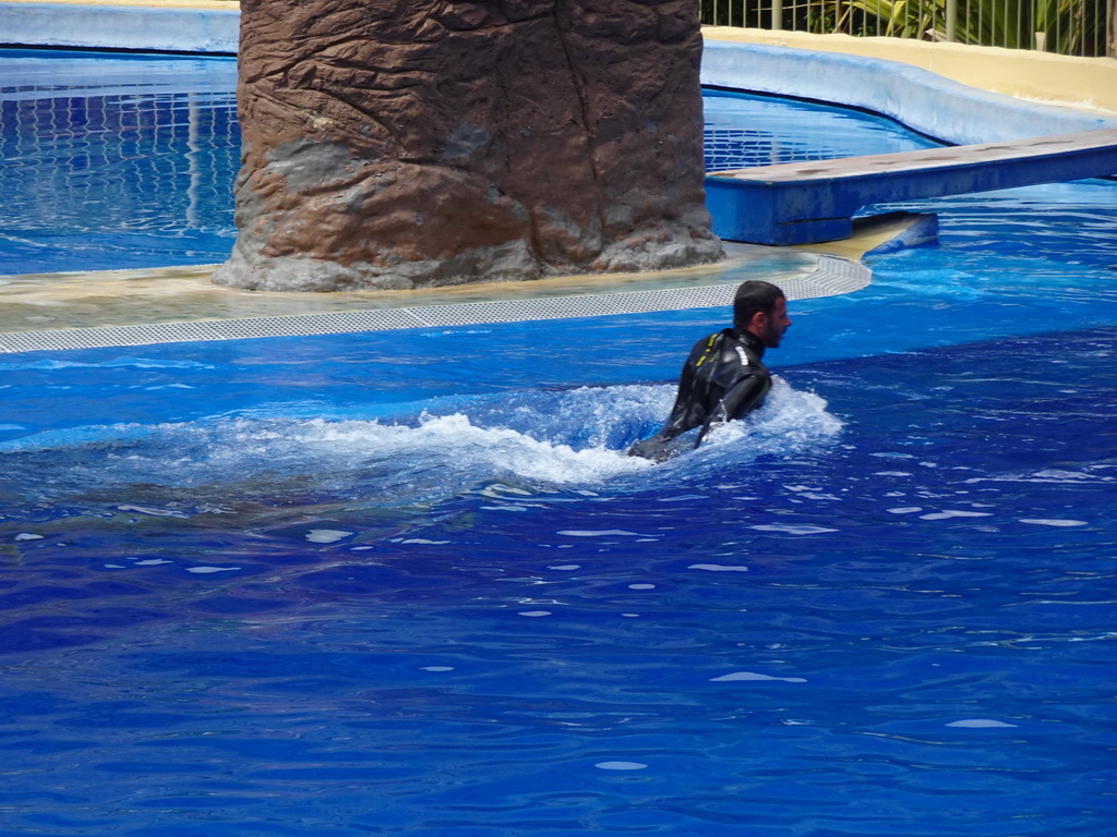 Zookeeper and Dolphin at the Dolphinarium at the Palmitos Park, during the Dolphin Show