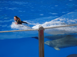 Zookeeper and Dolphin at the Dolphinarium at the Palmitos Park, during the Dolphin Show