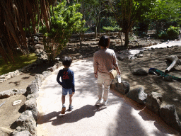 Miaomiao and Max at the Free Flight Aviary at the Palmitos Park