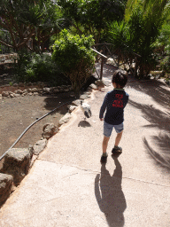 Max with an Australian White Ibis at the Free Flight Aviary at the Palmitos Park