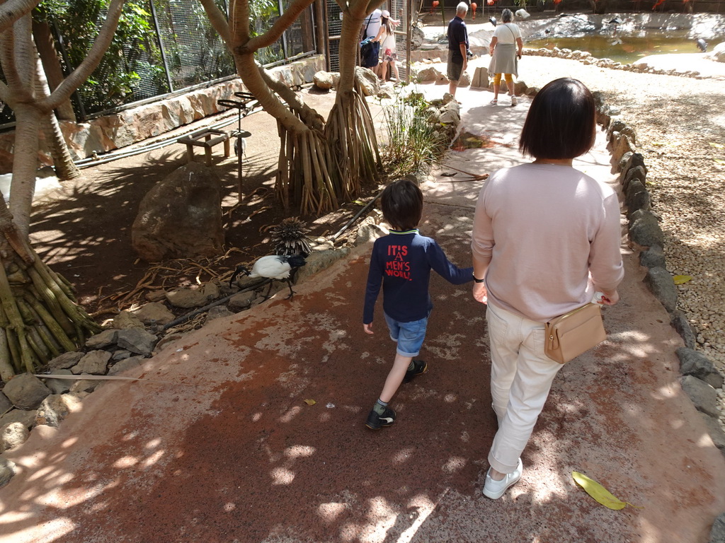 Miaomiao and Max with an Australian White Ibis at the Free Flight Aviary at the Palmitos Park