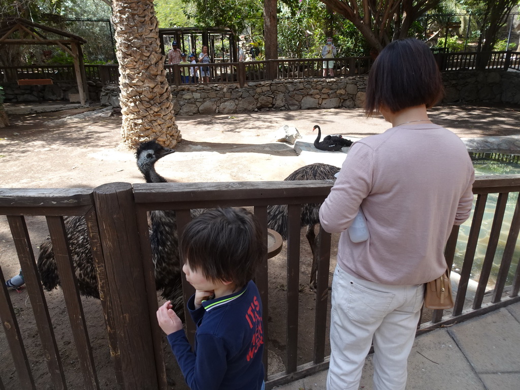 Miaomiao and Max with the Emus at the Palmitos Park