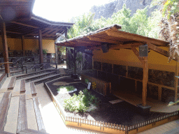 The Amphitheatre at the Palmitos Park