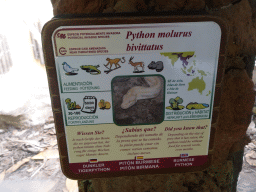 Explanation on the Burmese Python at the Palmitos Park