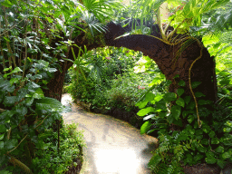 Gate at the Butterflies House at the Palmitos Park