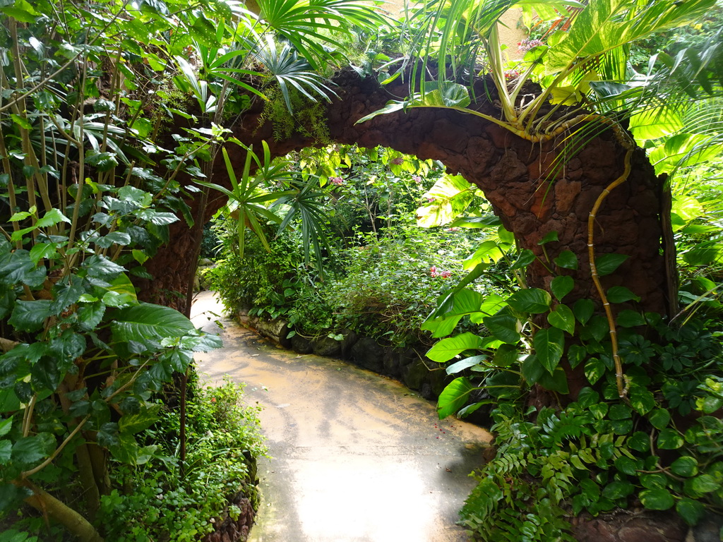 Gate at the Butterflies House at the Palmitos Park