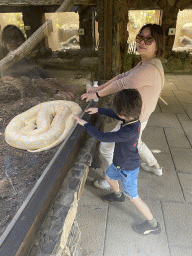 Miaomiao and Max with a Python at the Palmitos Park