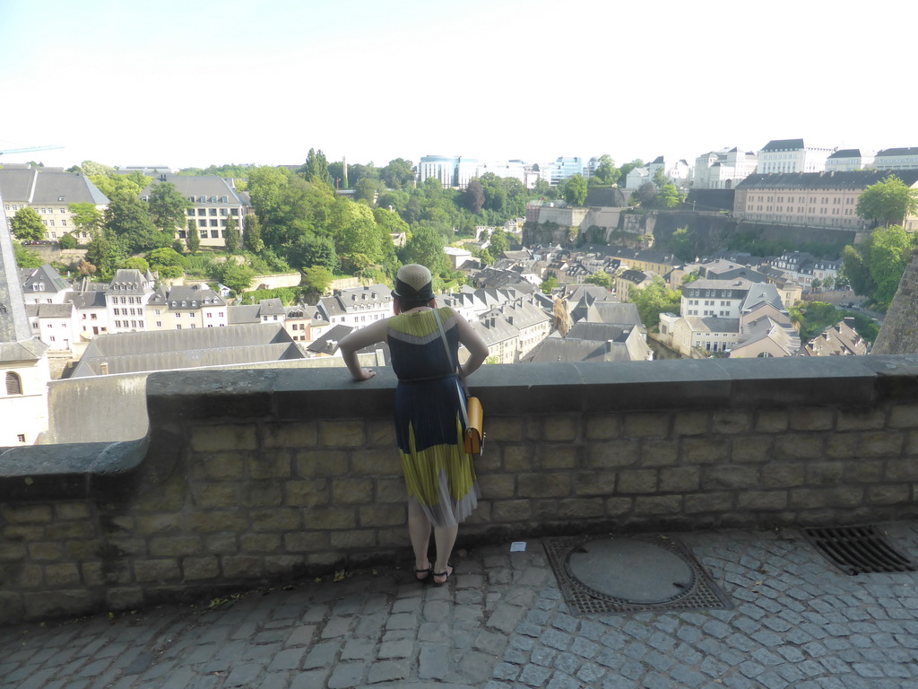 Miaomiao at the northeast end of the Chemin de la Corniche street, with a view on the Grund district with the Abbey of Neumünster and the Johanneskirche church