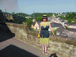 Miaomiao at the Chemin de la Corniche street, with a view on the Grund district with the Casemates du Bock, the Wenzel Wall, the Abbey of Neumünster, the Johanneskirche church, the Rham Plateau and the railway bridge, viewed from the Chemin de la Corniche street