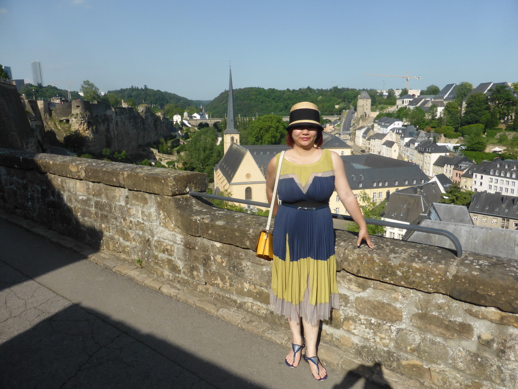 Miaomiao at the Chemin de la Corniche street, with a view on the Grund district with the Casemates du Bock, the Wenzel Wall, the Abbey of Neumünster, the Johanneskirche church, the Rham Plateau and the railway bridge, viewed from the Chemin de la Corniche street