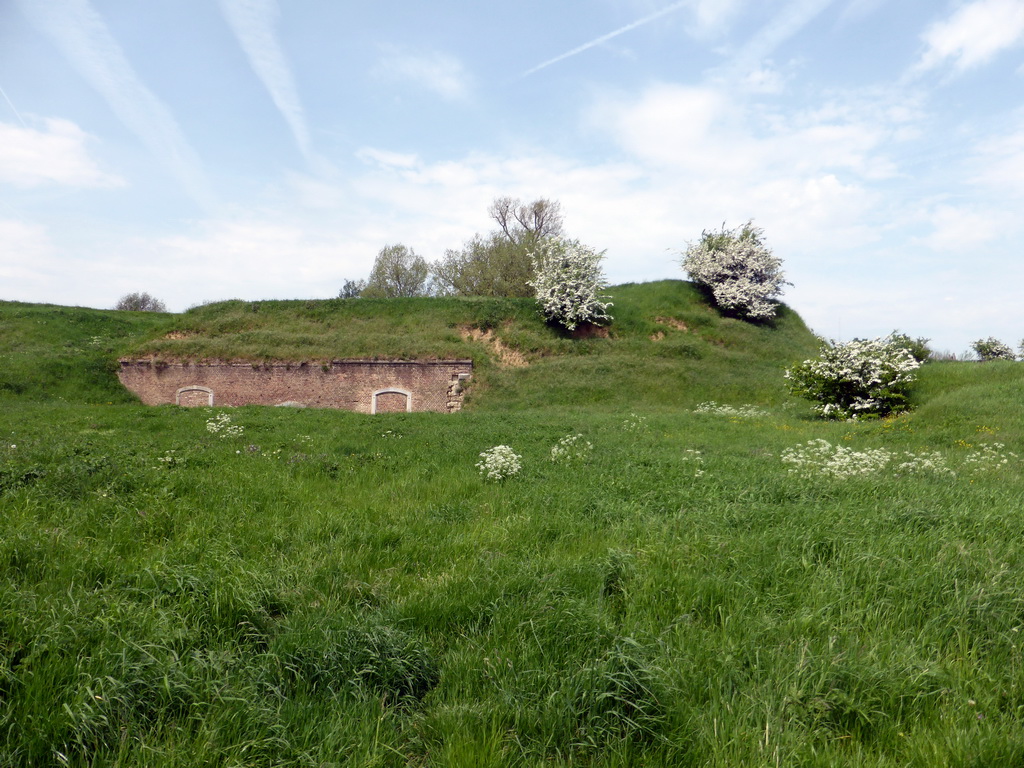 Wall and grassfield at the Hoge Fronten park