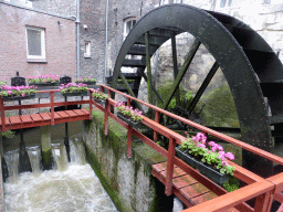 The Bisschopsmolen watermill at the Jeker river at the back side of the Bisschopsmolen bakery