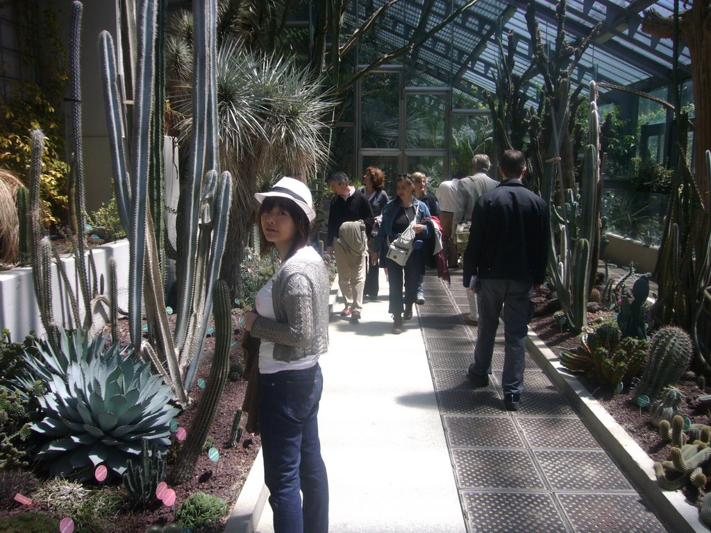 Miaomiao, Jeroen and Kees in a greenhouse in the Royal Botanical Garden