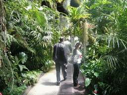 Miaomiao, Jeroen and Kees in a greenhouse in the Royal Botanical Garden