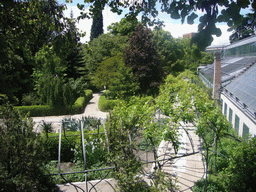 The Royal Botanical Garden