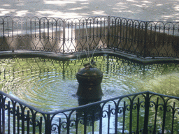 Fountain in the Royal Botanical Garden