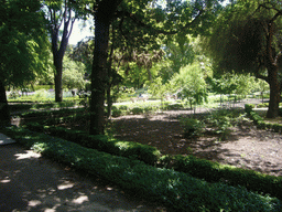 The Royal Botanical Garden