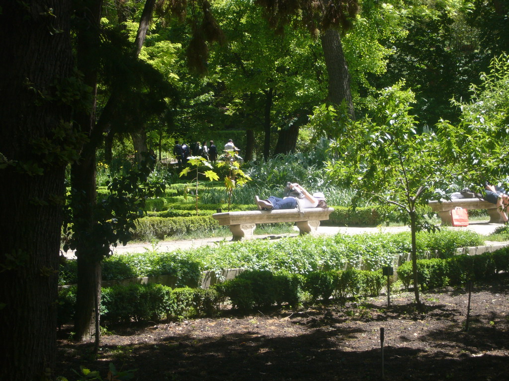 Miaomiao on a bench in the Royal Botanical Garden