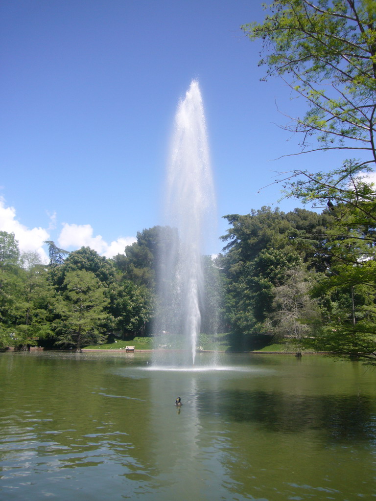 Fountain in the lake in front of the Palacio de Cristal in the Parque del Buen Retiro park