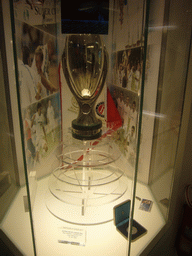 The European Super Cup of 2002, in the museum of the Santiago Bernabéu stadium