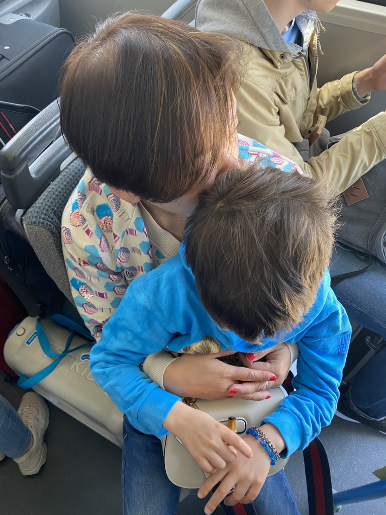 Miaomiao in Max in the airplane at the Francisco Sá Carneiro Airport