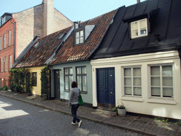 Miaomiao with houses in Jöns Filsgatan street