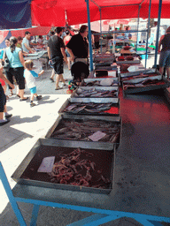 Fish market at Marsaxlokk