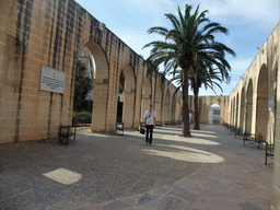 Tim at the Lower Barracca Gardens at Valletta