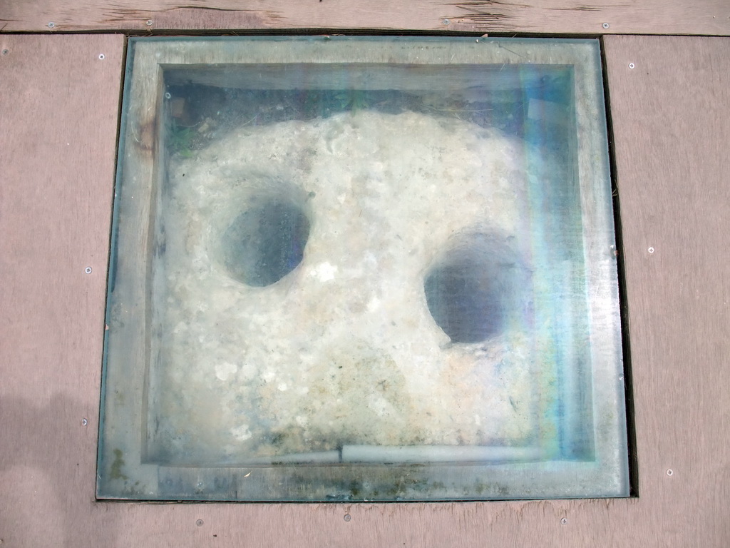 Slab with holes for tethering animals at the entrance to the Southwestern Temple of the Tarxien Temples at Tarxien