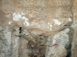 Pig relief at the Chamber of Animal Reliefs at the Tarxien Temples at Tarxien