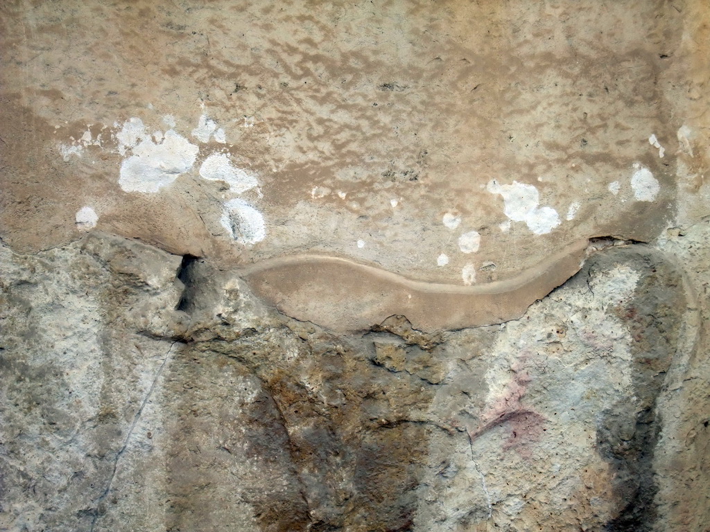 Pig relief at the Chamber of Animal Reliefs at the Tarxien Temples at Tarxien