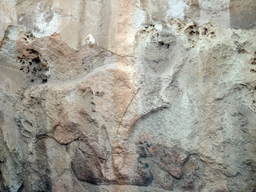 Bull relief at the Chamber of Animal Reliefs at the Tarxien Temples at Tarxien