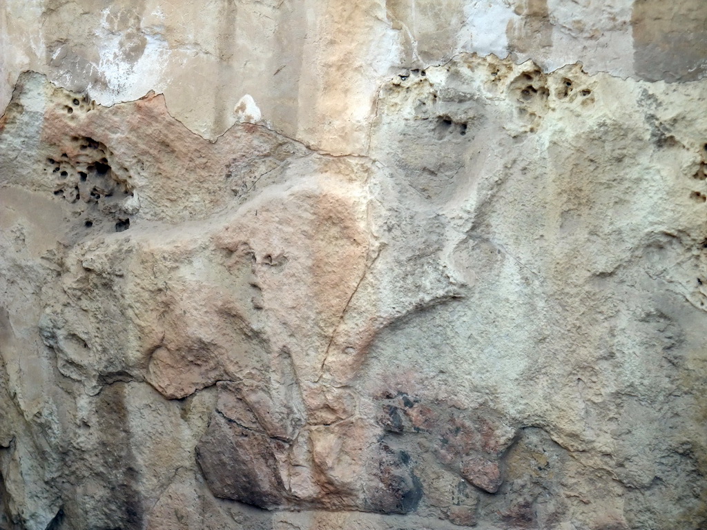 Bull relief at the Chamber of Animal Reliefs at the Tarxien Temples at Tarxien