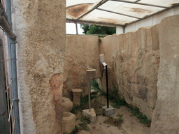 The Chamber of Animal Reliefs at the Tarxien Temples at Tarxien