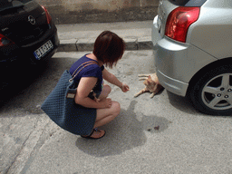 Miaomiao with cat on a street near the Tarxien Temples at Tarxien