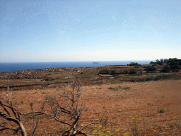 Field near Hagar Qim and the island of Filfla in the Mediterranean Sea